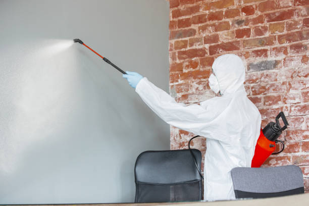 Best Air Quality Testing for Mold Spores  in Merlin, OR