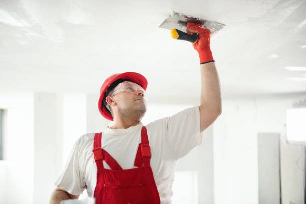 Best Mold Removal for HVAC Installations  in Merlin, OR