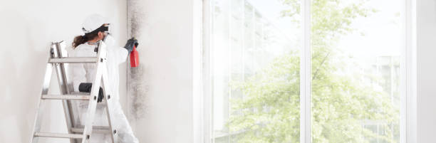 Best Real Estate Mold Inspection  in Merlin, OR