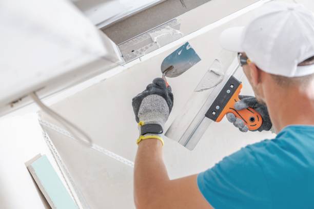 Best Mold Documentation for Insurance Claims  in Merlin, OR